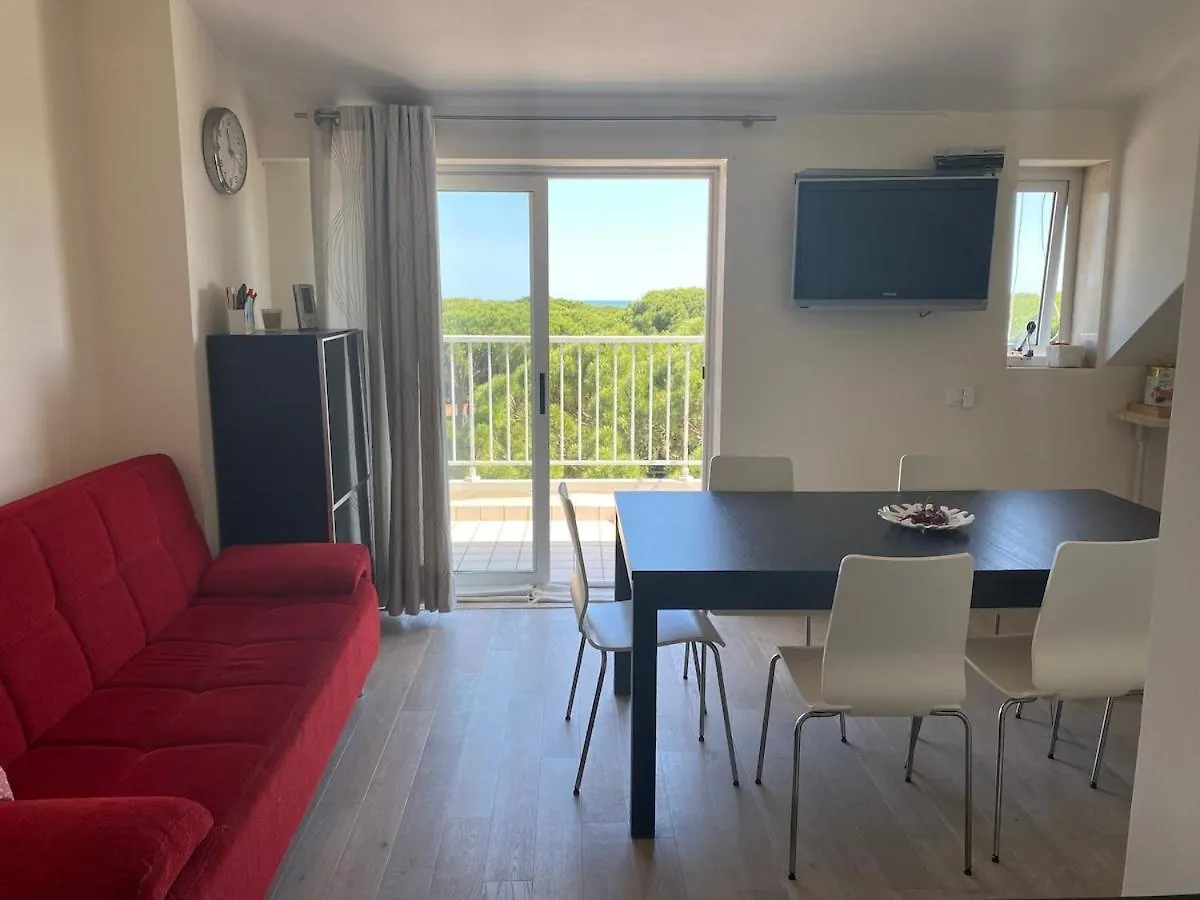 I Pini Apartment 伊拉克里亚马勒